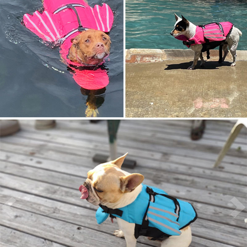 Kamizelka Ratunkowa dla Psa Od – Life Jacket recenzja i cena